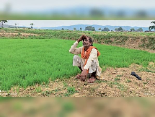 खण्ड एवम अल्प वर्षा की संभावनाओं के बीच किसानों से सरकार का अपील, धान की खेती रोपा पद्धति के बजाय सीधी बुवाई पर दे विशेष जोर