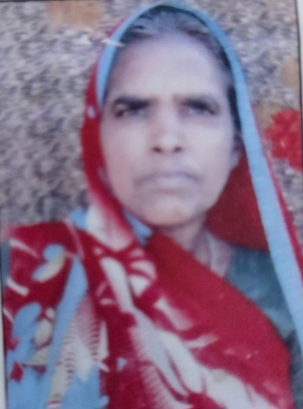 जहरीले सर्प के दंश से बुजुर्ग महिला की गई जान