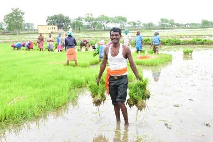 गौरेला पेन्ड्रा मरवाही जिले ने हासिल किया पीएम किसान सम्मान निधि योजना का 80 प्रतिशत लक्ष्य32 हजार 865 किसानों तक पहुंची सम्मान निधि की सहायता