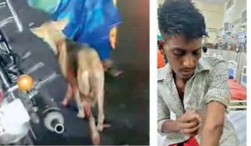 बिलासपुर में आवारा कुत्ते का आतंक: छह घंटे में 20 लोगों को काटा, एक युवक सिम्स में भर्ती, वीडियो वायरल होने के बाद निगम ने पकड़ा
