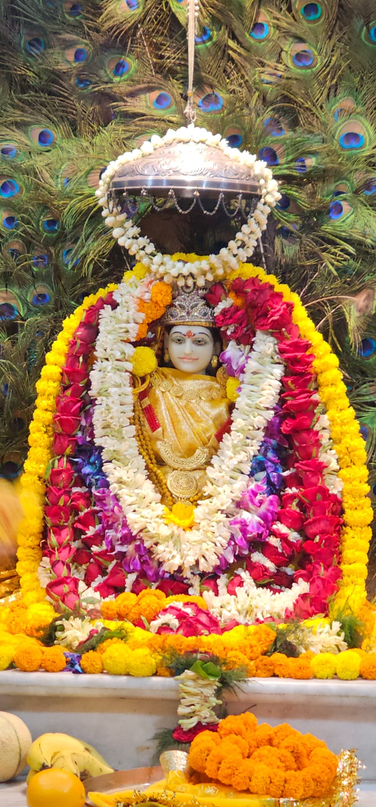 आषाढ़ गुप्त नवरात्रि (15-22 जुलाई) और दस महाविद्या साधना का रहस्य: श्री पीतांबरा पीठ बिलासपुर में 134 दिवसीय ऐतिहासिक महायज्ञ का शंखनाद*