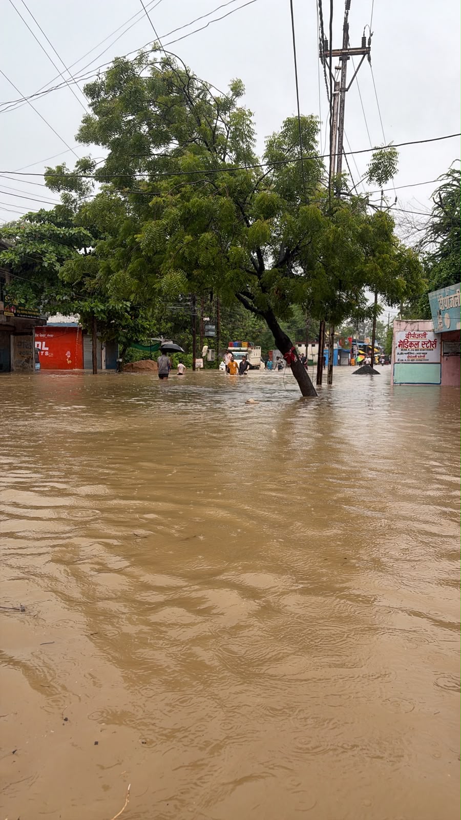 रात भर की मूसलाधार बारिश से बिलासपुर बेहाल: कॉलोनियों में घुसा पानी, सड़कें जलमग्न, प्रशासन अलर्ट