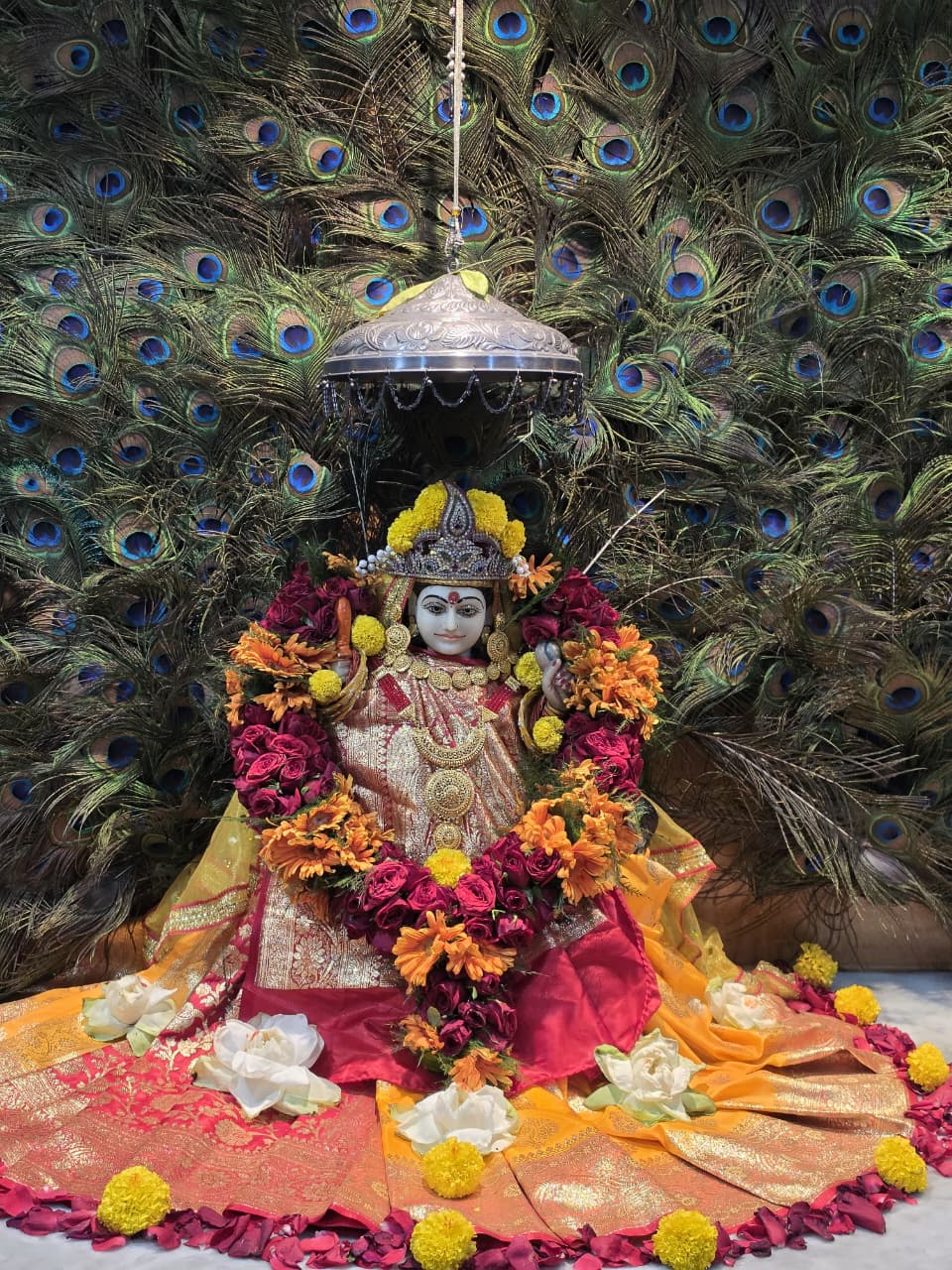 श्री पीतांबरा पीठ बिलासपुर में गुप्त नवरात्रि का दिव्य प्रवाह: माँ षोडशी व माँ त्रिपुर भैरवी के बाद अब पाँचवीं तिथि को होगी माँ भुवनेश्वरी की पूजा, पीठाधीश्वर जी ने बताया आत्मज्ञान का मार्ग