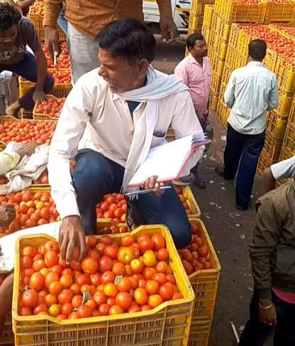 टमाटर के दाम में बड़ी राहत, 20 दिन में 60 से घटकर 25 रुपए किलो पहुंचे भाव
