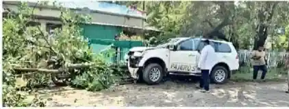 बेकाबू कार पेड़ से टकराई, चालक बाल-बाल बचा