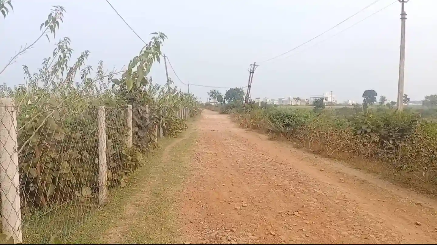 लेटलतीफी: फोरलेन की राह में अब नहर की जमीन का पेच, सिटी बस डिपो से पत्रकार कॉलोनी तक बनेगी सड़क, एनओसी के बाद नया टेंडर