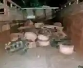 ग्रीन नेट की आड़ में कट रही थीं गाड़ियां, ट्रकों के पार्ट्स मिले, देर रात तक चली जब्ती