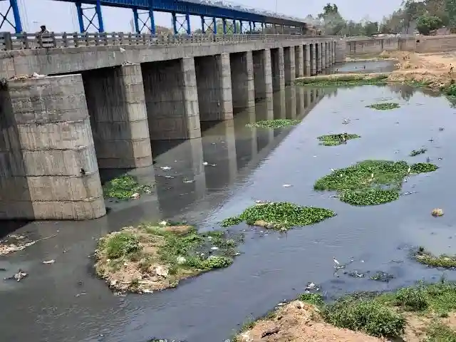 78 एमएलडी क्षमता वाले एसटीपी में ट्रीट हो रहा सिर्फ 43.90 एमएलडी सीवेज