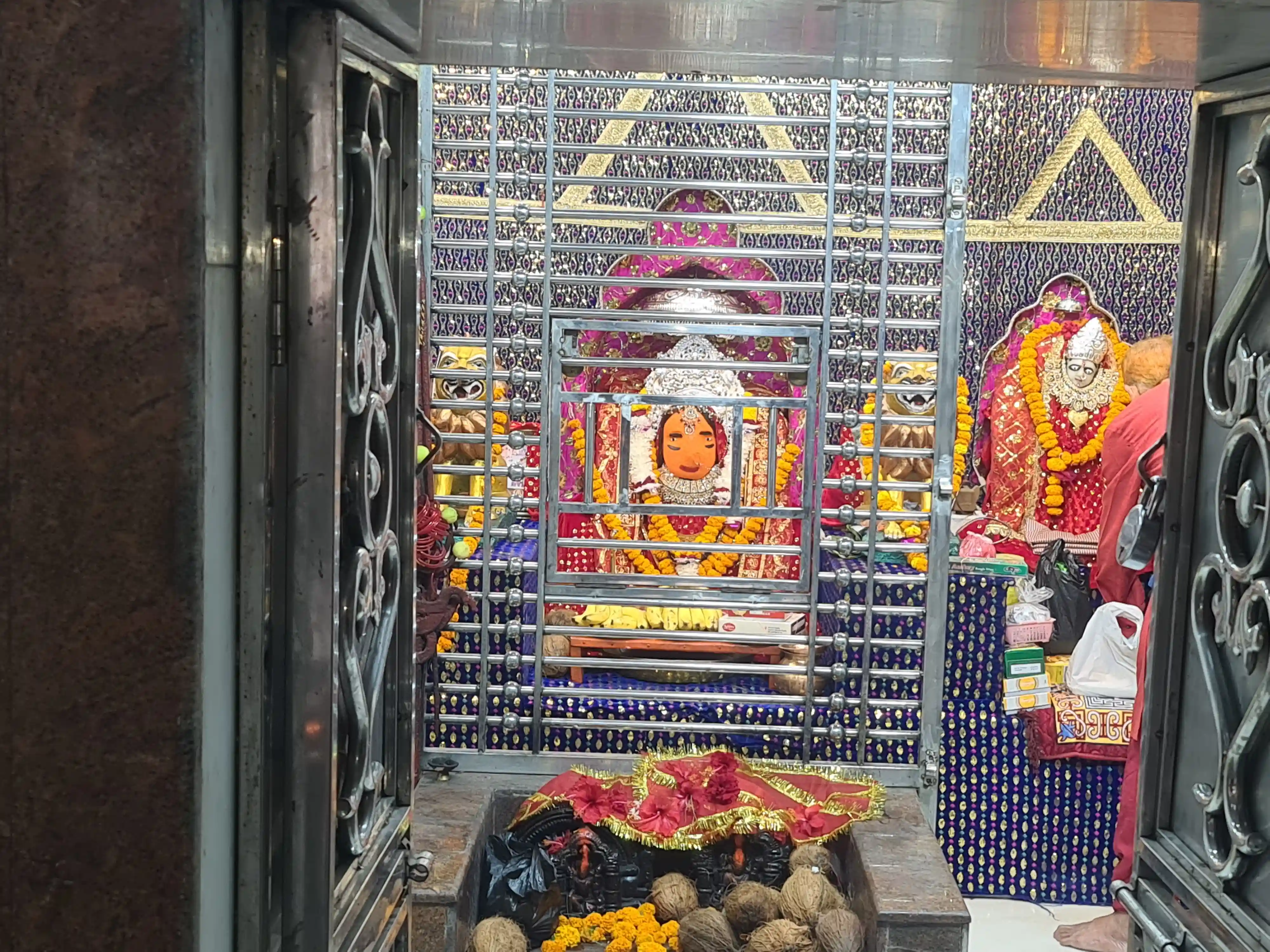 शक्ति की आराधना शुरू, हाथी पर सवार होकर आईं मां दुर्गा
