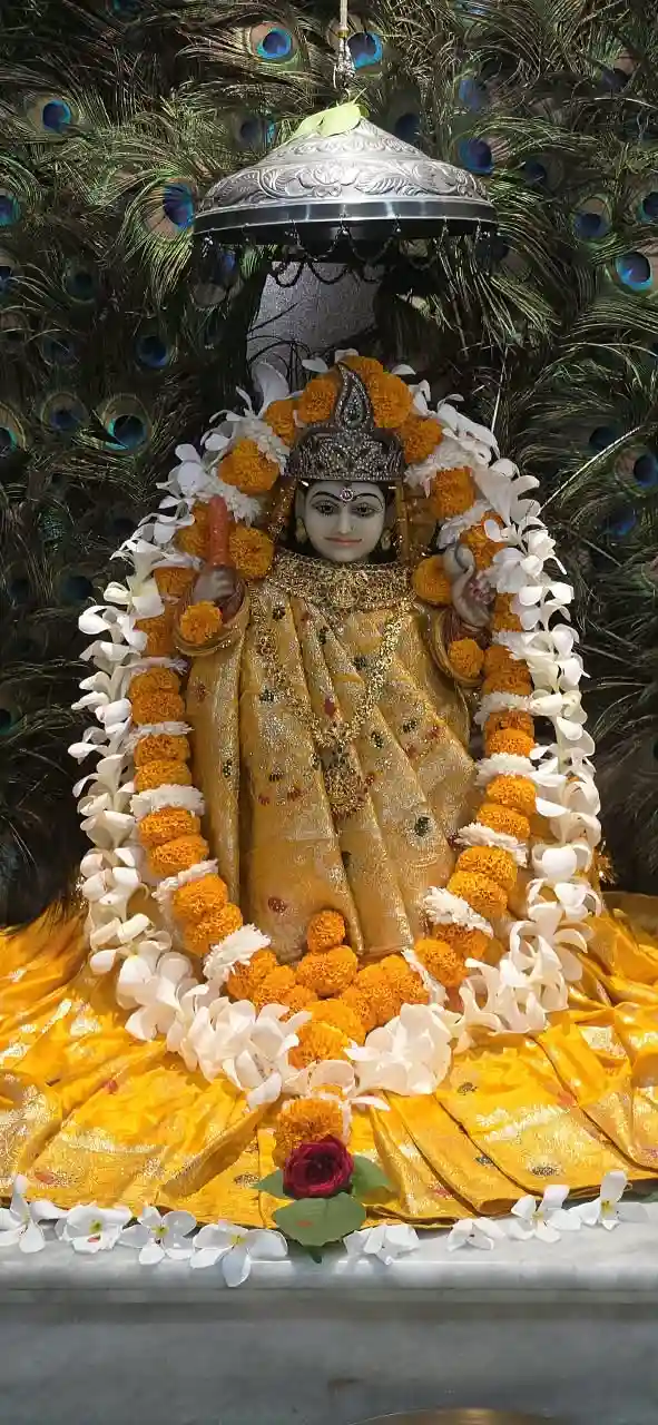 माँ कूष्मांडा की आराधना से सुख, समृद्धि एवं सकारात्मक ऊर्जा की कामना