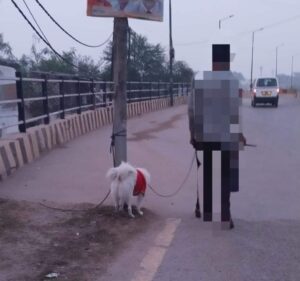 सुबह और शाम रिवर व्यू में डॉग घूमाने लाने वालों से परेशान आम लोग, इन पालतू डॉग द्वारा जगह-जगह पॉटी कर दिए जाने से रोज हो रहा विवाद , मगर आंखें मूंदे बैठा है शहर का प्रशासन