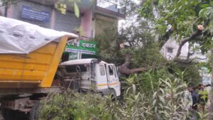 आधी रात को तेज रफ्तार ट्रेलर नीम के पेड़ से टकराई, हादसा या साजिश, उठ रहे सवाल