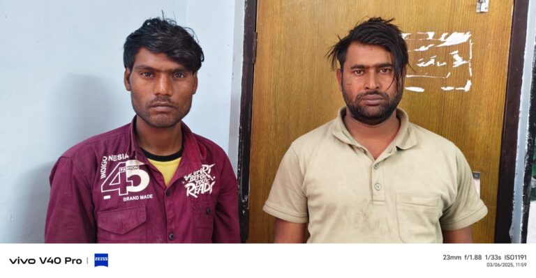 हाइवा चोरी करने वाले अंतरराज्यीय गिरोह का मुंगेली पुलिस ने किया पर्दाफाश