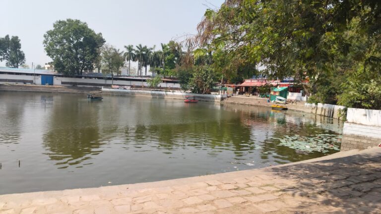 रतनपुर के एक और तालाब में जाल में फंसे मिले चार मृत कछुए, क्या रतनपुर में संरक्षित प्रजाति के कछुए बन रहे राजनीति के मोहरे ?