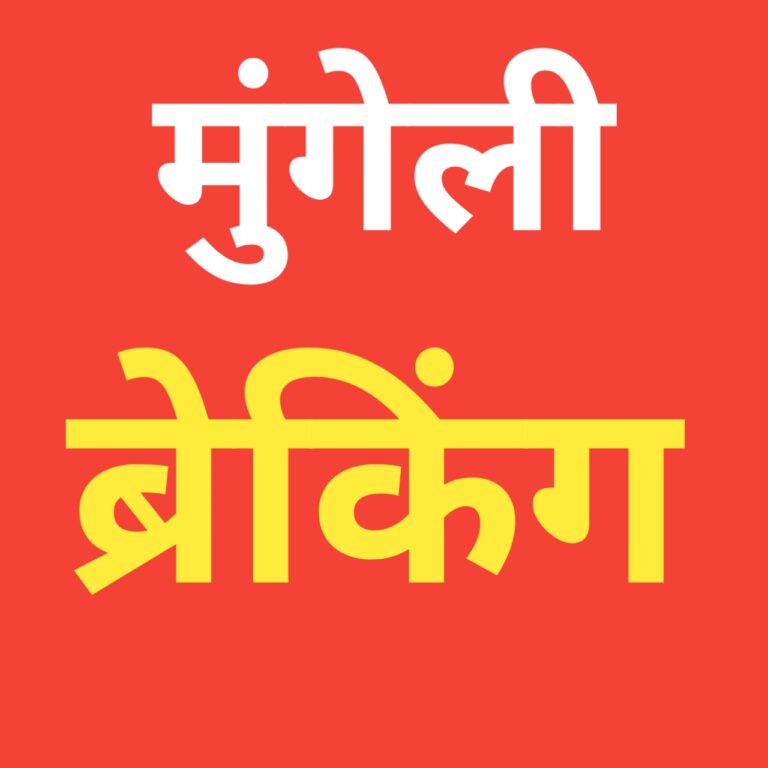 कालोनाइजर आशीष सोनकर और मुंगेली नगर पालिका परिषद के पूर्व अध्यक्ष संतुलाल सोनकर पर जबरन जमीन हथियाने का आरोप