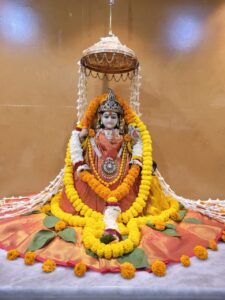 श्री पीताम्बरा पीठ त्रिदेव मंदिर सरकंडा में हर्षोल्लास के साथ मनाया जाएगा बगलामुखी जयंती महोत्सव