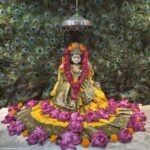 श्री पीताम्बरा पीठ त्रिदेव मंदिर सरकंडा में श्री बगलामुखी जयंती महोत्सव धूमधाम से संपन्न