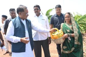 मुख्यमंत्री पहुंचे उत्कृष्ट किसान रोहित साहू के केला और पपीता के हरियाले खेत,केला और पपीता की खेती से कमा रहे लाखों का मुनाफा, 15-20 लोगों को अपने खेत में दे रहे रोजगार भी