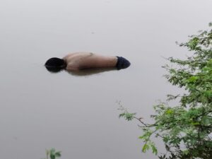 रतनपुर के तालाब में युवक की मिली लाश, तीन दिन से लापता था मृतक