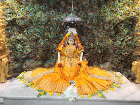 *श्री पीताम्बरा पीठ त्रिदेव मंदिर में मनाया जा रहा है आषाढ़ गुप्त नवरात्र