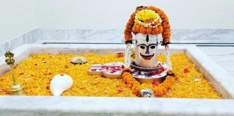श्री पीताम्बरा पीठ त्रिदेव मंदिर में 11 जुलाई से 9 अगस्त तक महारुद्राभिषेकात्मक महायज्ञ आयोजित, प्रतिदिन पारदेश्वर महादेव का नमक चमक विधि द्वारा किया जाएगा अभिषेक