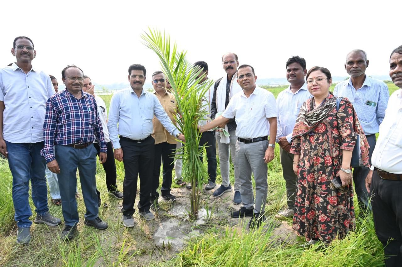 कलेक्टर जन्मेजय महोबे पहुँचे ऑयल पाम के खेत, किसानों को दी स्थायी आमदनी की राह