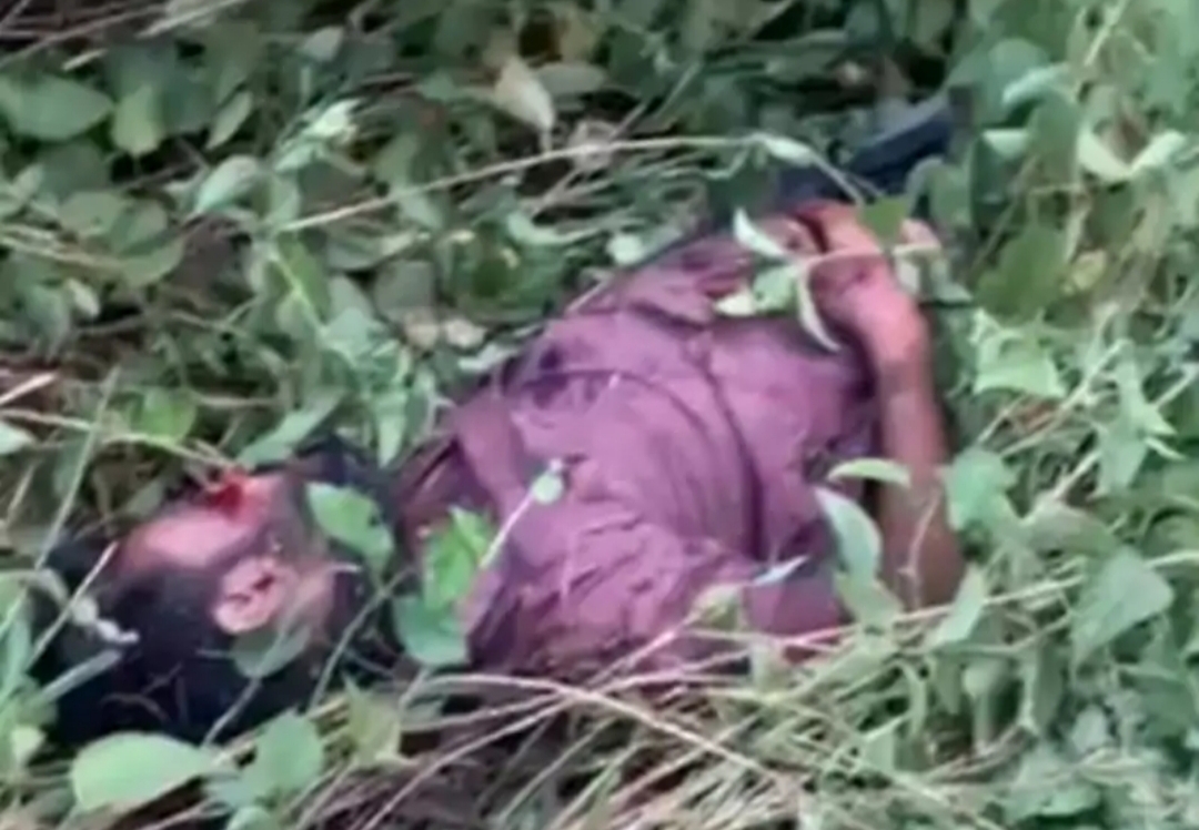 झाड़ियों में मिली युवक की लाश,सड़क हादसे में मौत की आशंका