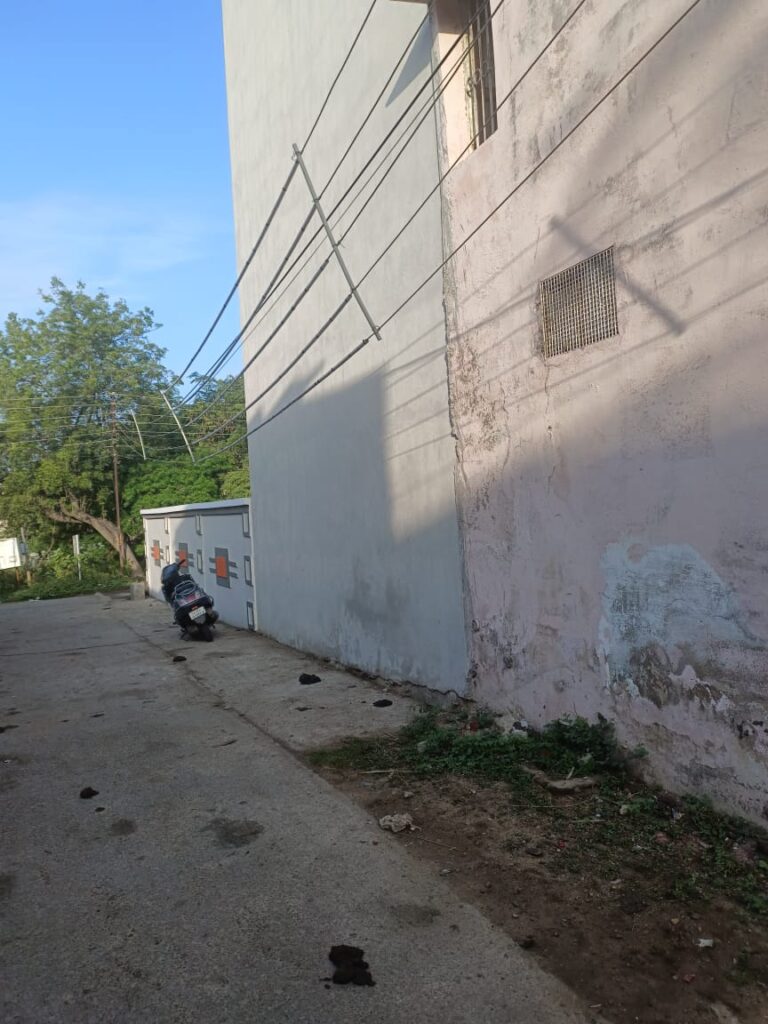 IMG-20251101-WA0017.jpg