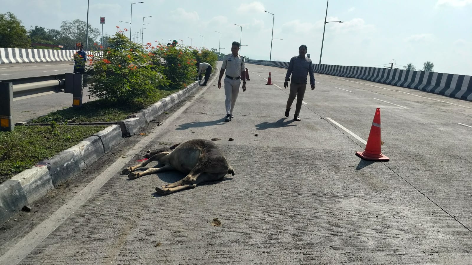 रतनपुर थाना क्षेत्र में राखड़ भरे ट्रेलर ने मवेशियों को रौंदा — चार की मौत, दो घायलग्रामीणों की तत्परता से ट्रेलर जब्त, चालक गिरफ्तार — रतनपुर पुलिस की त्वरित कार्रवाई