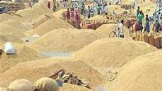 प्रदेश में अवैध भण्डारण, परिवहन एवं विक्रय करते हुए लगभग 1 लाख 52 हजार क्विंटल धान जब्त