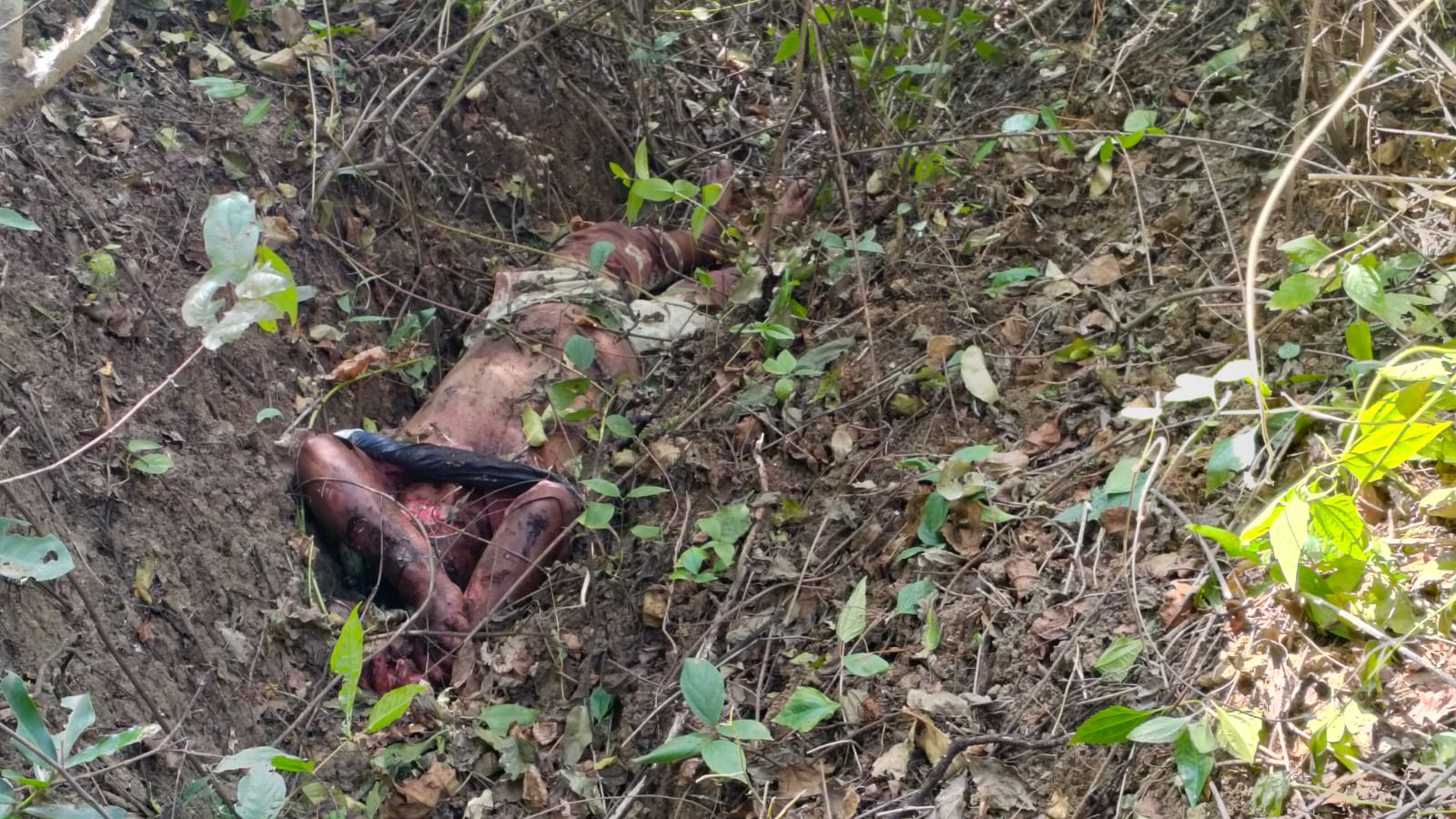 रतनपुर जंगल में अंधे कत्ल का खुलासा: पूर्व रंजिश में की गई थी हत्या, दो आरोपी गिरफ्तार