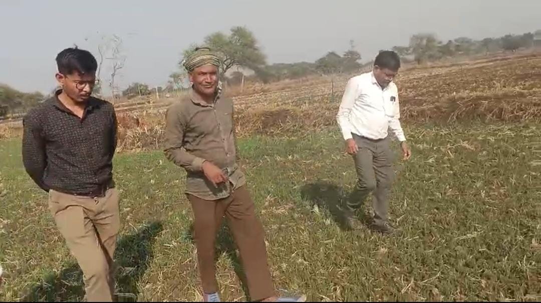 धान से हटकर समृद्धि की राह: जेवरा के किसान दिलीप सिन्हा ने दलहन-तिलहन से कमाए 25 लाख रुपये