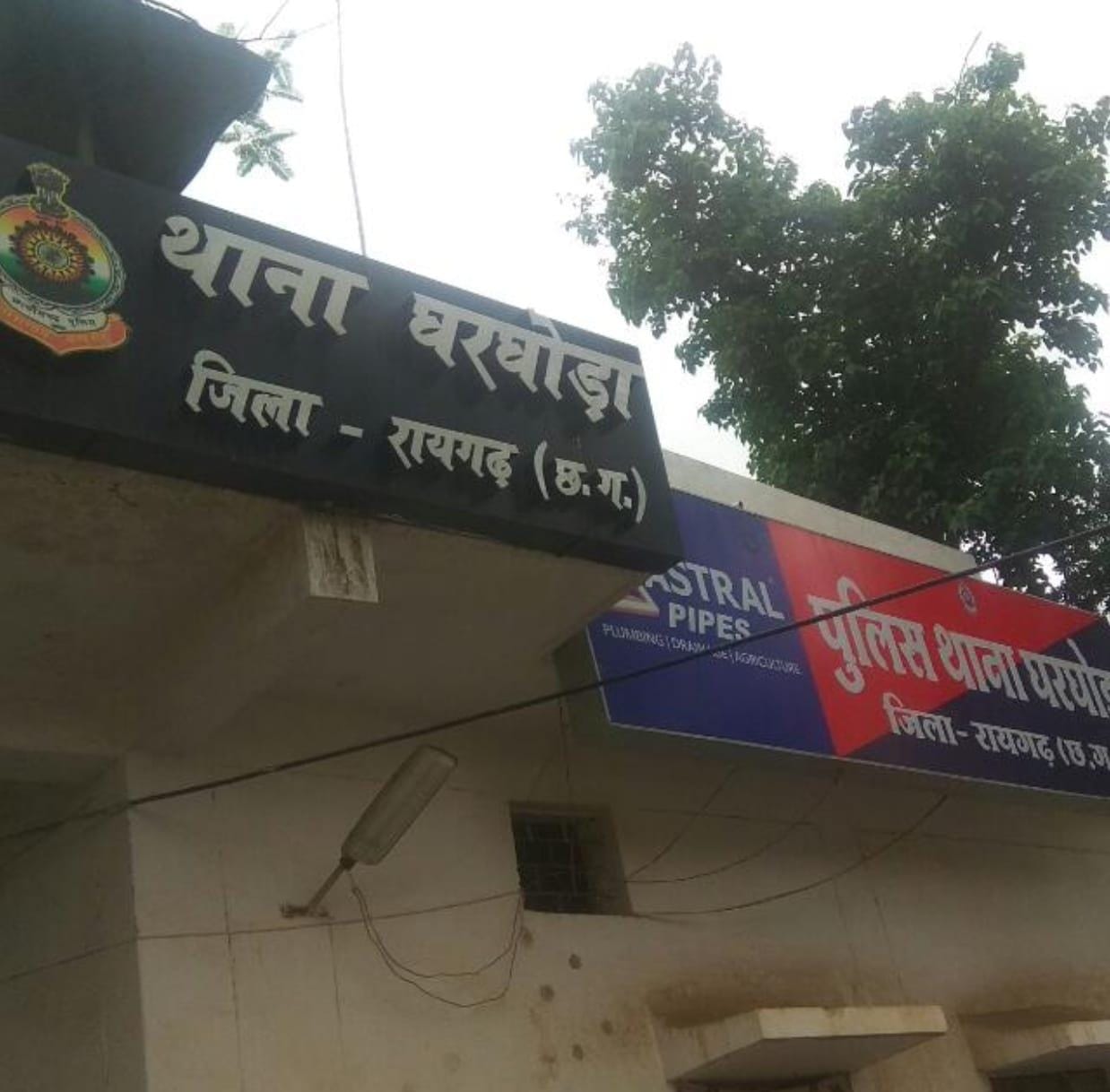 घरघोड़ा में जंगली सूअर के शिकार और कथित लेन–देन का गंभीर मामला, निष्पक्ष जांच की मांग