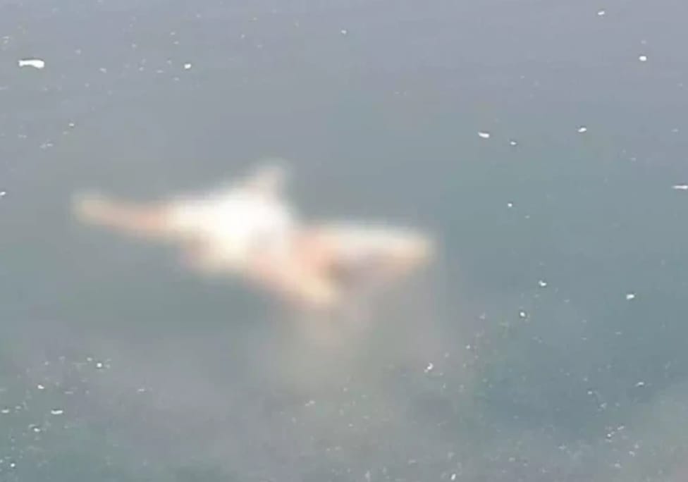 ब्लू वाटर खदान में सिर कटी लाश मिलने से सनसनी, दोनों हाथों के पंजे भी गायब, हत्या की आशंका