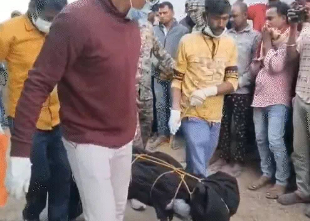 सेप्टिक टैंक से मिली नवविवाहिता की सड़ी-गली लाश, गांव में सनसनी; 6 महीने पहले की थी लव मैरिज