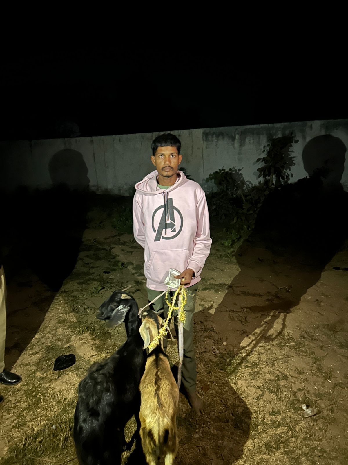 बकरी चोरी का खुलासा, शातिर चोर गिरफ्तार, बकरा-बकरी व 10 हजार नकद जब्त