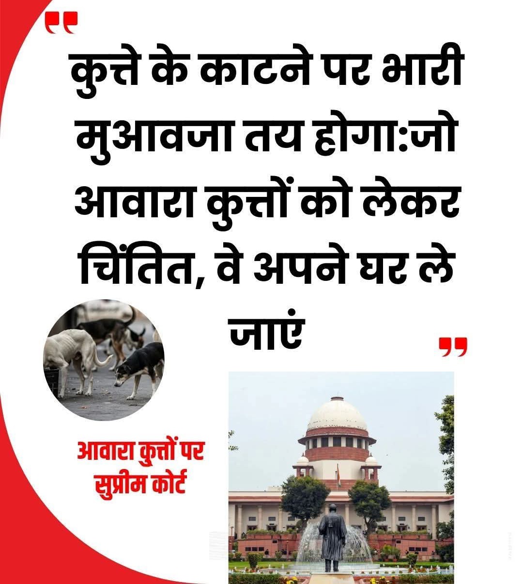 आवारा कुत्तों को लेकर कथित पशु प्रेमी संगठनो के असली चेहरे हुए बेनकाब, सुप्रीम कोर्ट ने जमकर लगाई लताड़