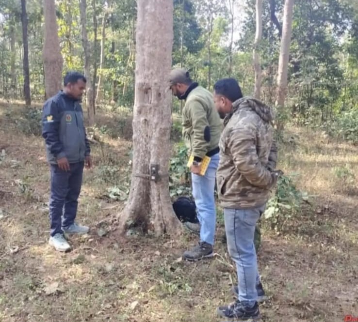 एटीआर में बाघों की गणना शुरू, 300 ट्रैप कैमरे लगाए गए, 18 बाघों की मौजूदगी का लगाया जाएगा पता, फरवरी में होगा दूसरा चरण