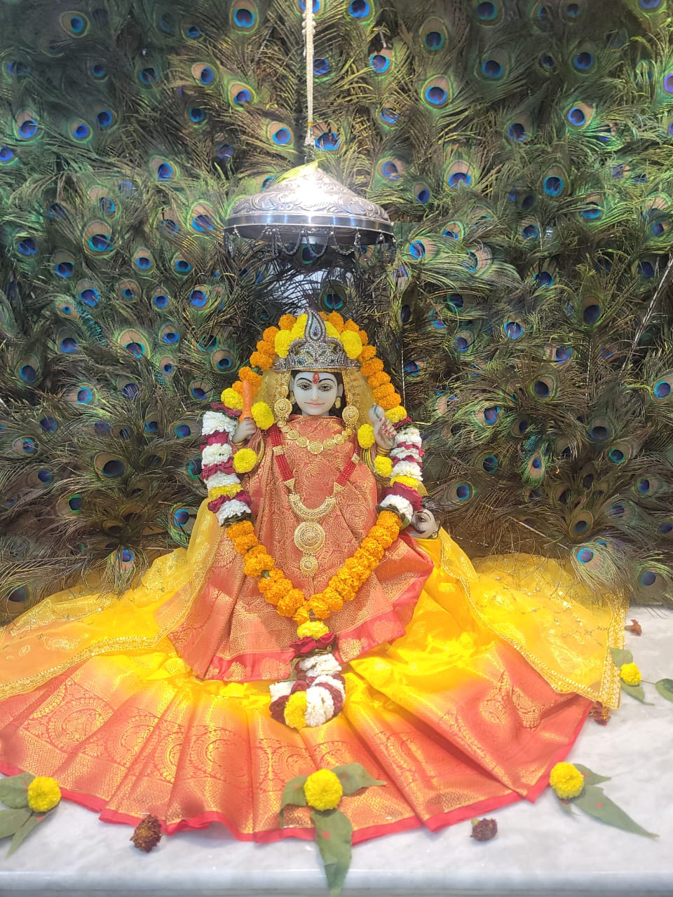 श्री पीताम्बरा पीठ त्रिदेव मंदिर (बिलासपुर) में माघ गुप्त नवरात्रि का आयोजन किया जा रहा