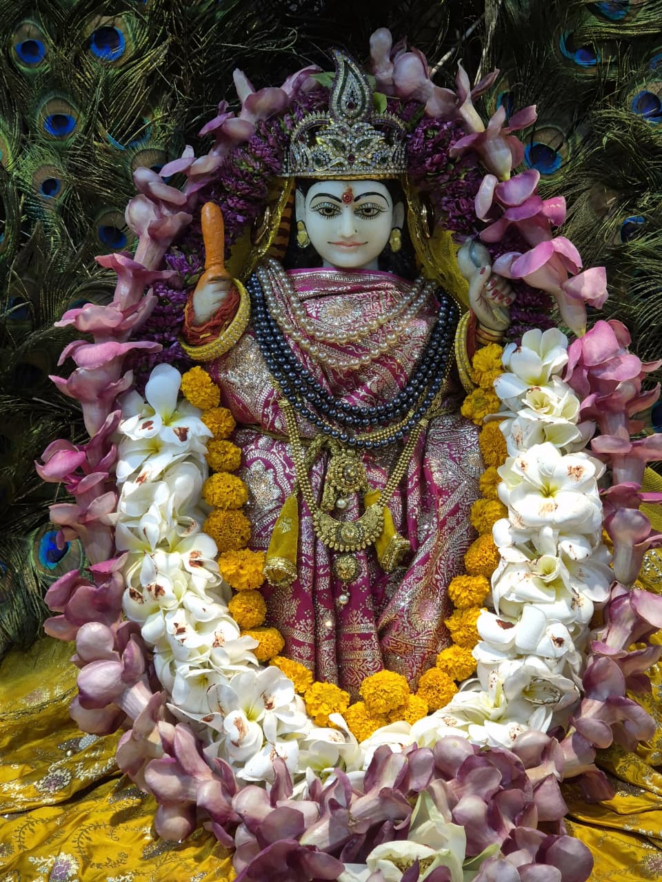 श्री पीताम्बरा पीठ त्रिदेव मंदिर (बिलासपुर) में माघ गुप्त नवरात्रि का आयोजन किया जा रहा