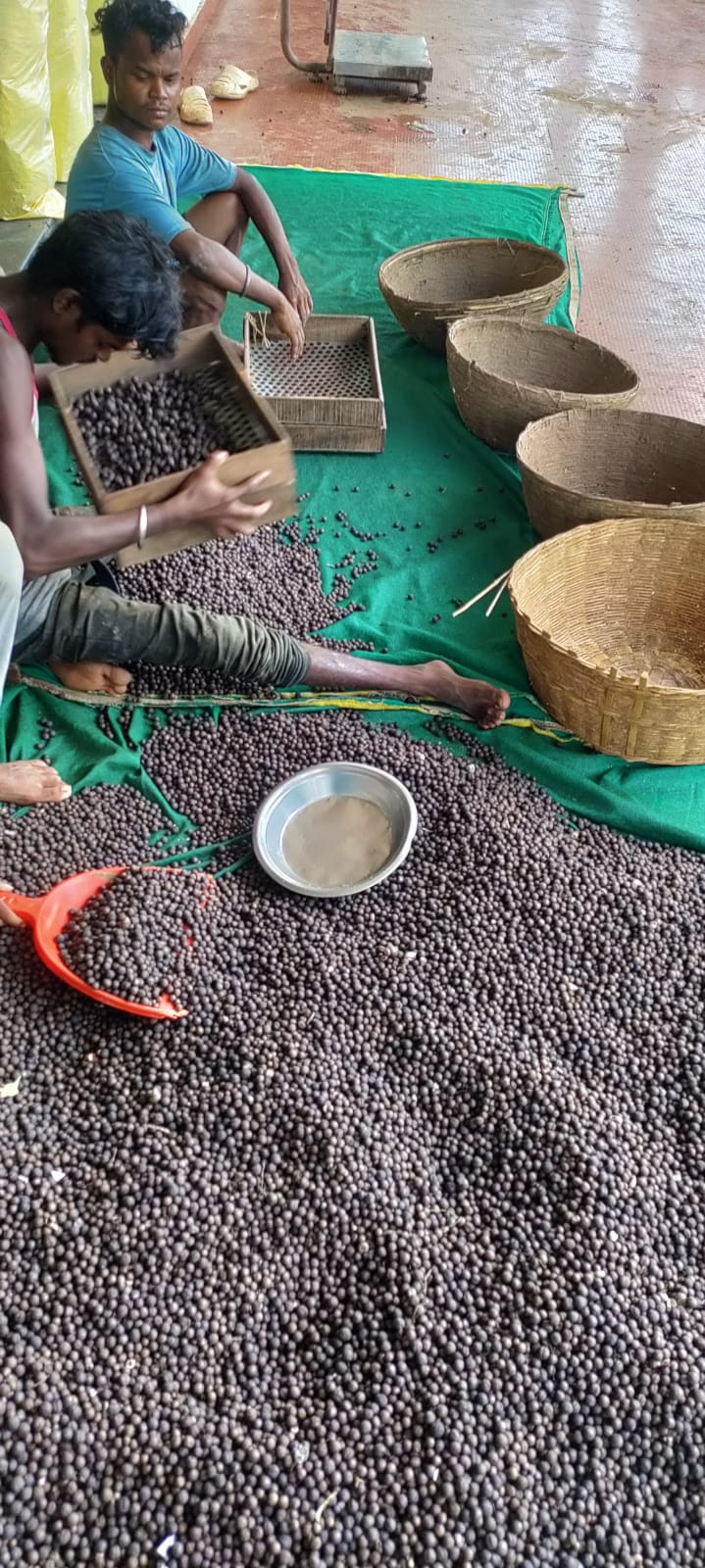 छत्तीसगढ़ में मखाना उत्पादन को प्रोत्साहन