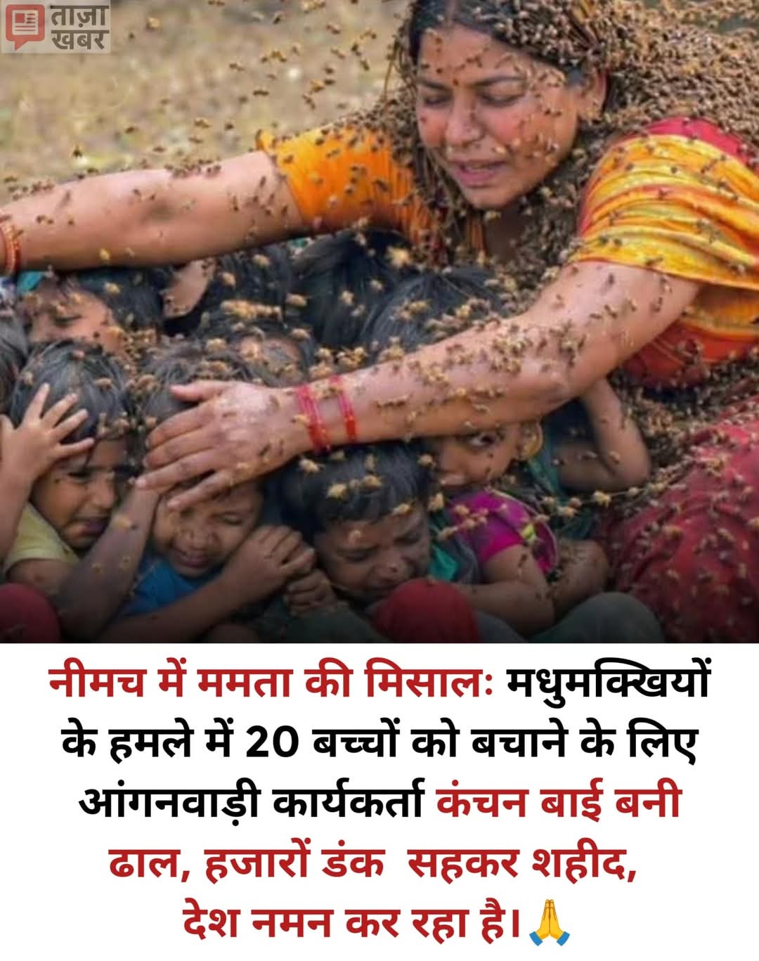 जब मासूमों के लिए दीवार बन गई माँ, मधुमक्खियों के हमले में आंगनवाड़ी सहायिका का बलिदान