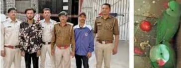 बिलासपुर में प्रतिबंधित पहाड़ी तोते के साथ दो युवक गिरफ्तार
