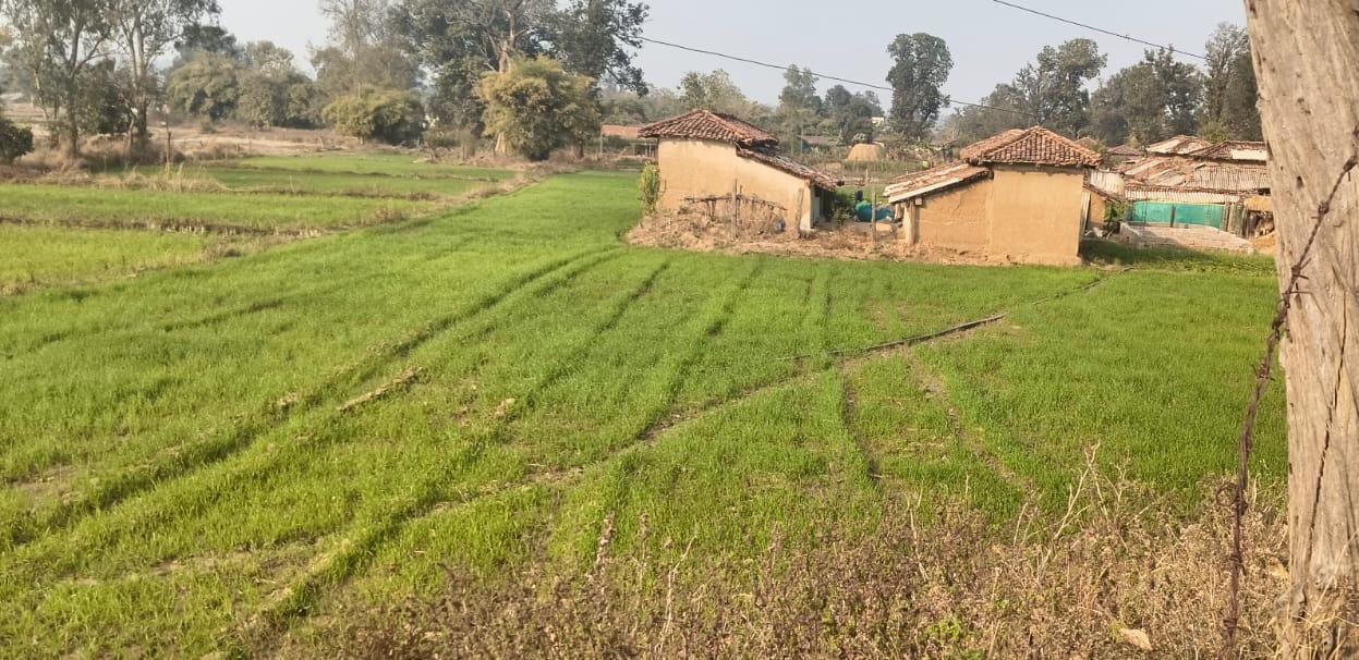 सफलता की कहानी,जल संरक्षण से आत्मनिर्भर किसान, चिड़ौला में शक्तिगत कूप बना ग्रामीण समृद्धि की मिसाल