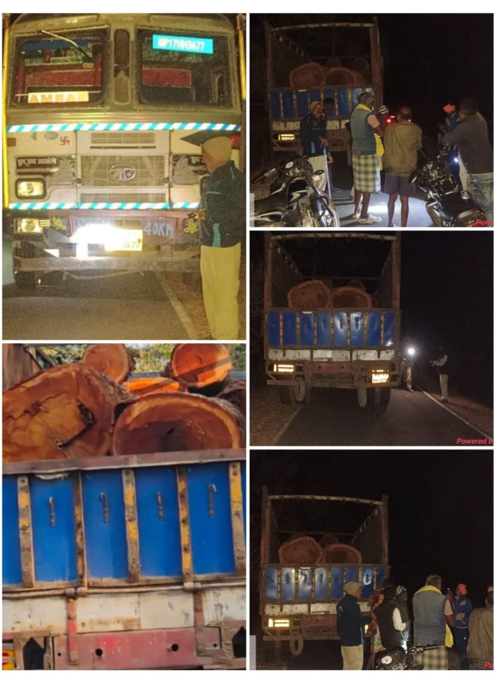 लकड़ी तस्करो पर कार्यवाही, बेशकीमती लकड़ी जप्त