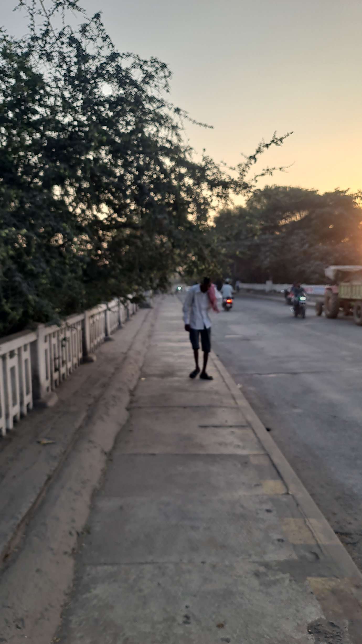 तोरवा छठ घाट पुल पर कटीली टहनियां बनीं राहगीरों के लिए खतरा, पैदल चलना मुश्किल