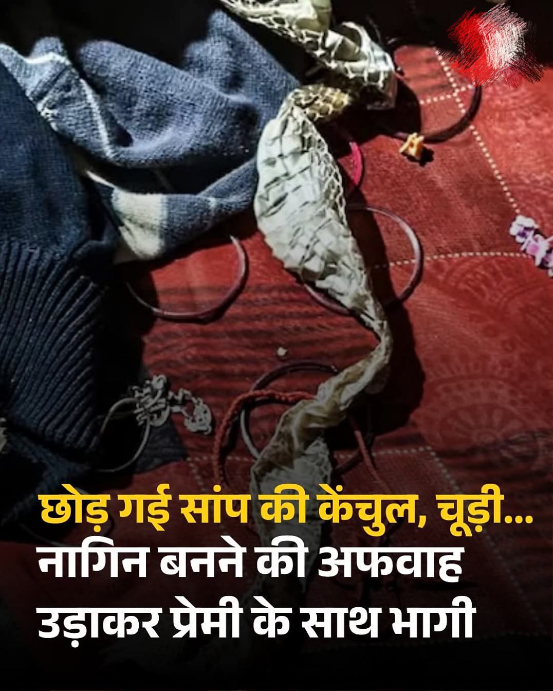 दुल्हन बनी नागिन, बिस्तर पर सांप की केंचुल छोड़कर गायब हुई नव ब्याहता