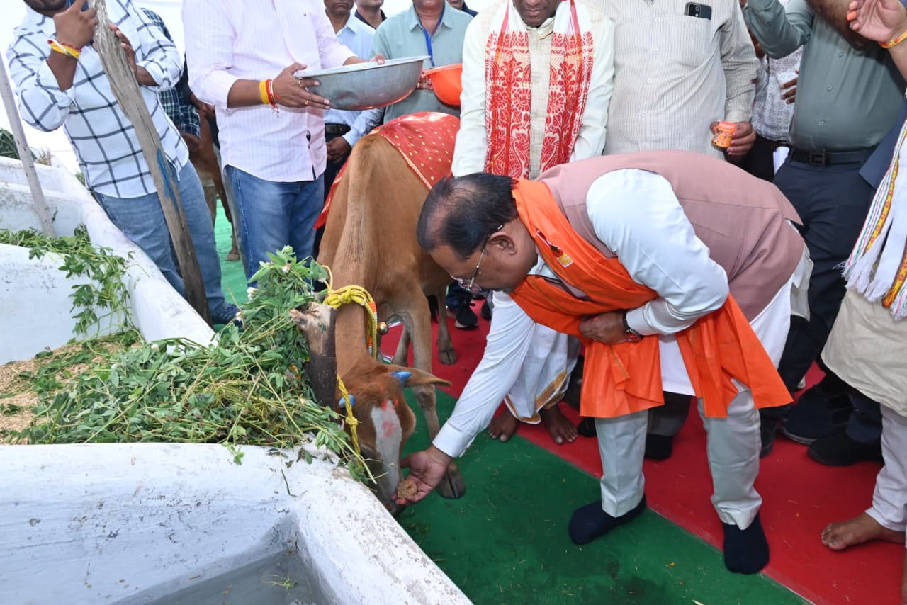 राज्य के सभी गौधाम “सुरभि गौधाम” कहलाएंगे : मुख्यमंत्री ने दी स्वीकृति
