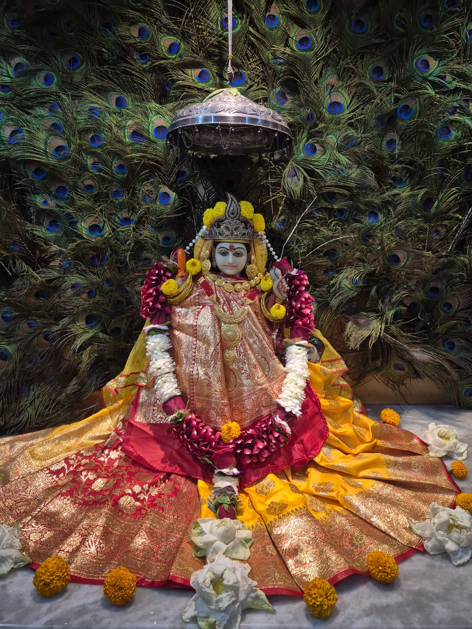 श्री पीताम्बरा पीठ त्रिदेव मंदिर, सुभाष चौक, सरकण्डा, बिलासपुर में चैत्र नवरात्र उत्सव एवं श्रीमद् देवी भागवत का भव्य आयोजन