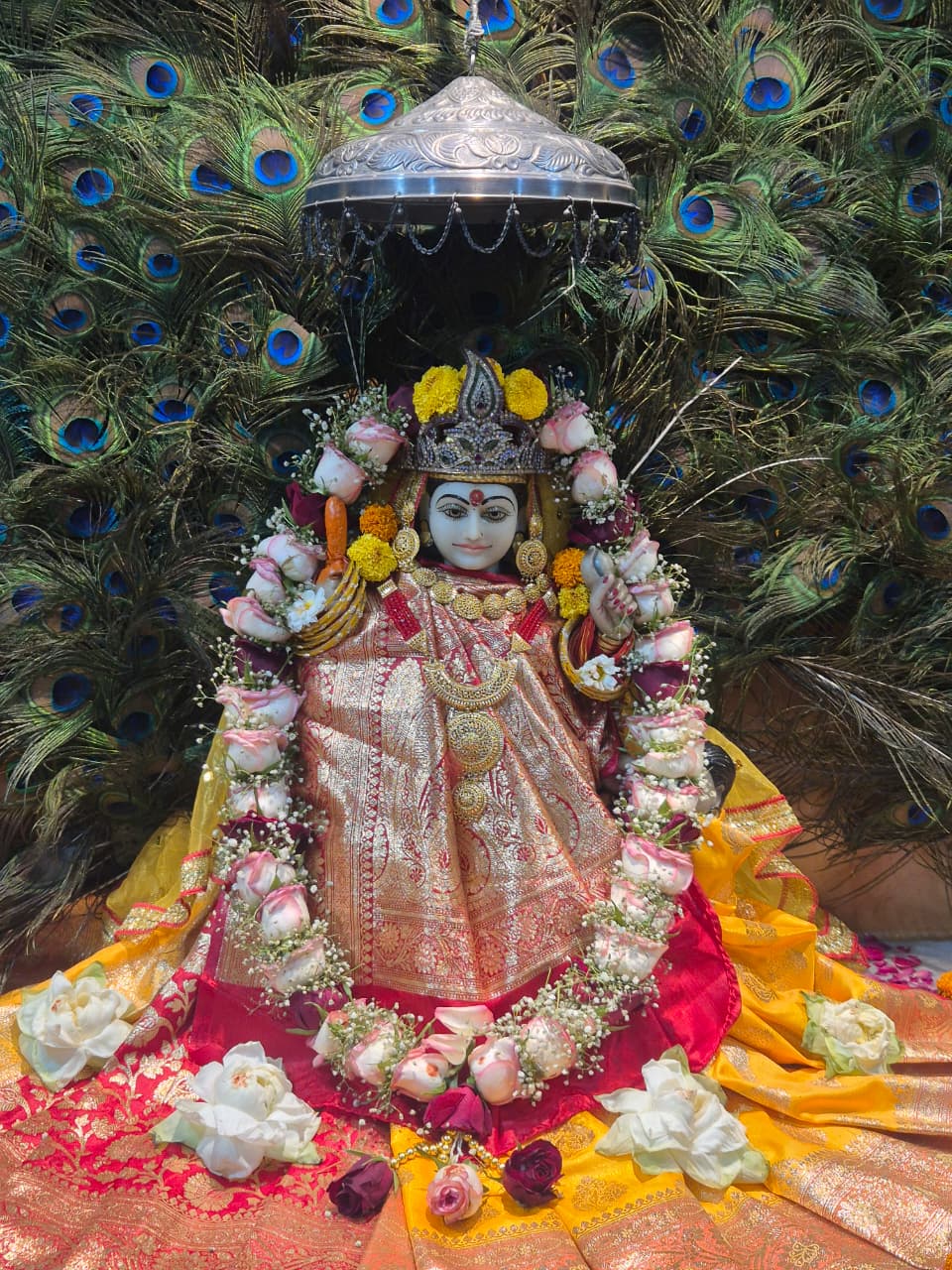 श्री पीताम्बरा पीठ त्रिदेव मंदिर, बिलासपुर में चैत्र नवरात्र एवं श्रीमद् देवी भागवत का भव्य आयोजन: दूसरे दिन हुआ दिव्य कथा का रसपान